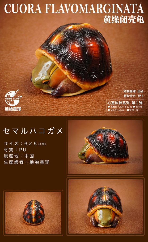 カメフィギュア(動物星球オリジナル商品)