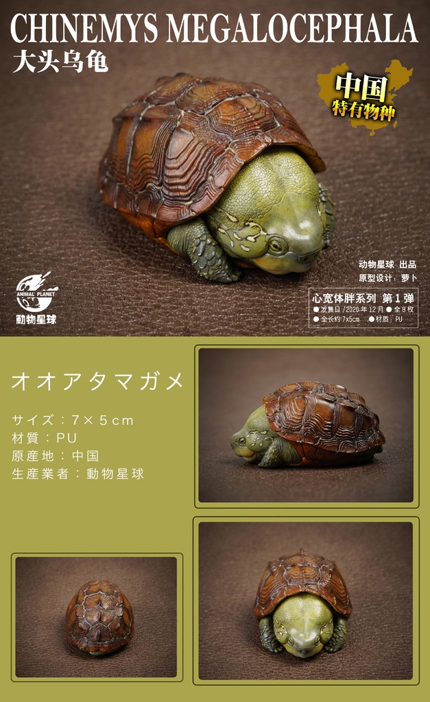 カメフィギュア(動物星球オリジナル商品)