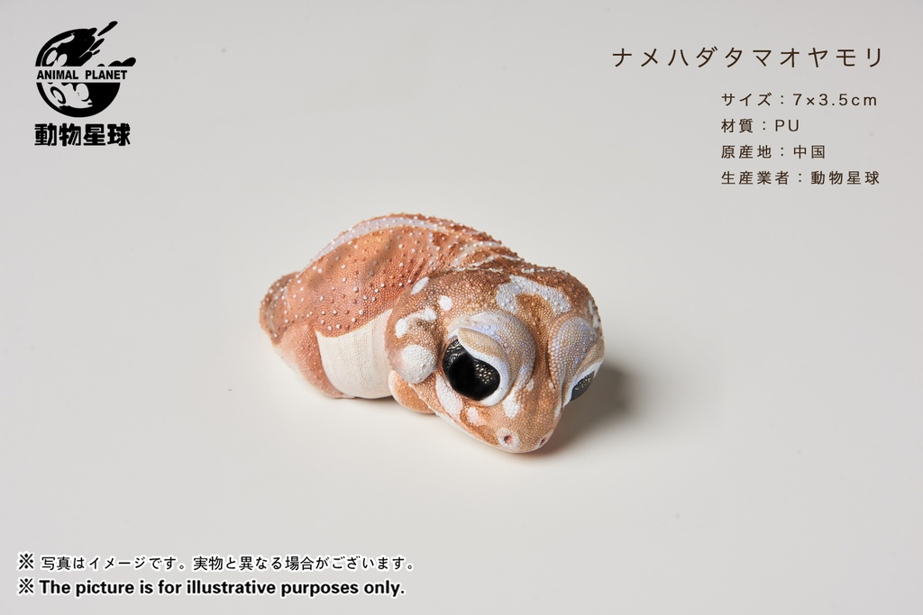 トカゲフィギュア(動物星球オリジナル商品) - 形而上MetaMatter トカゲフィギュア(動物星球オリジナル商品) - 形而上MetaMatter