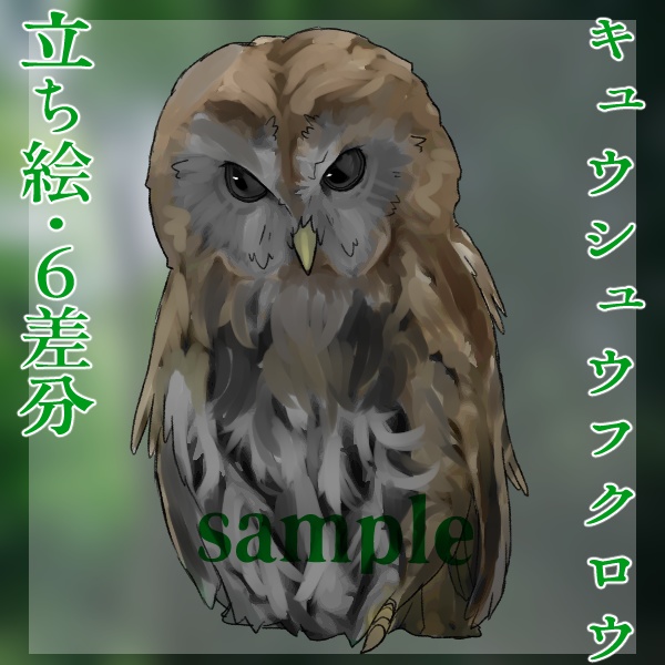 キュウシュウフクロウ立ち絵