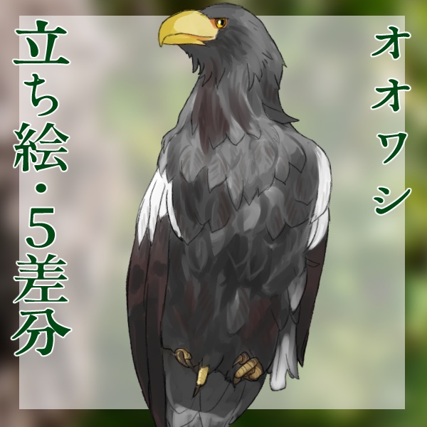 オオワシ立ち絵