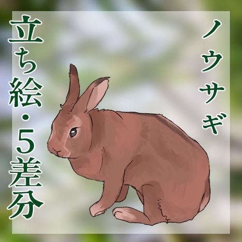 ノウサギ立ち絵