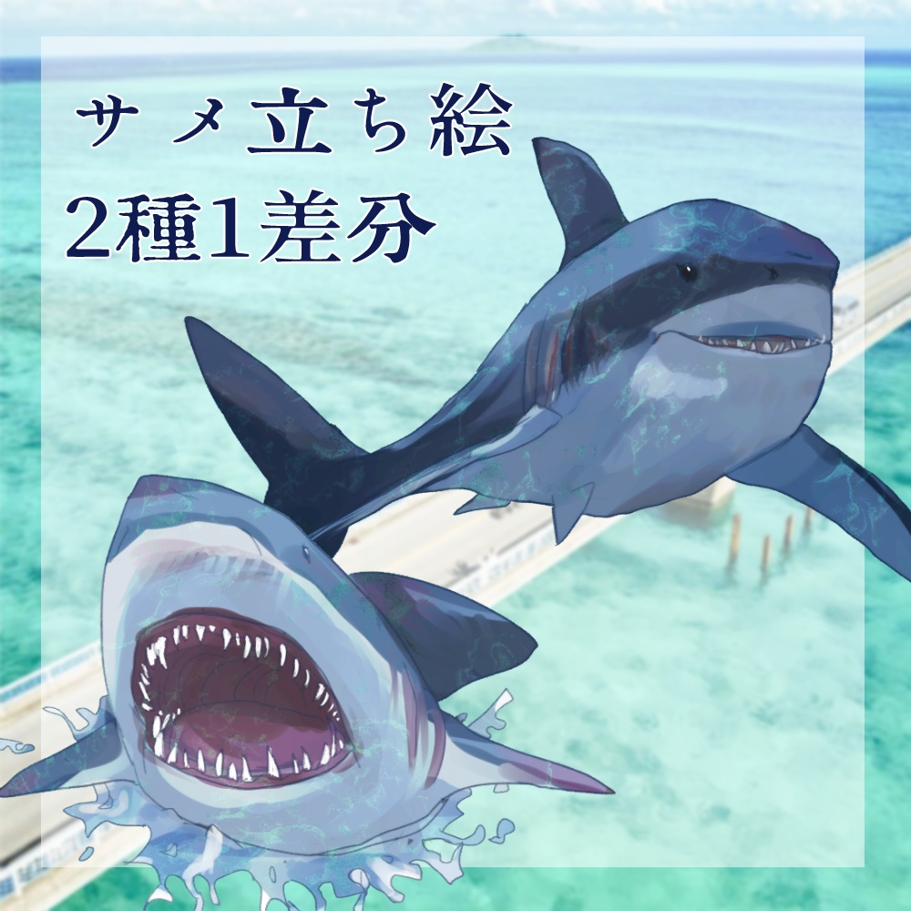 サメ立ち絵