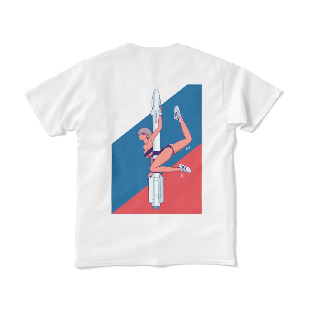 MiG-29 x R-73 DOUBLE SIDED