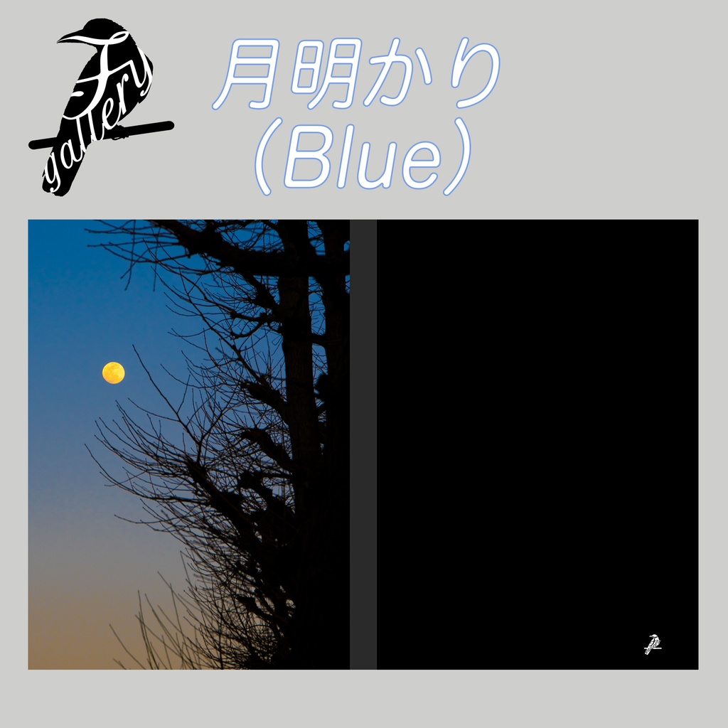 【A5】表紙用素材「月明かり」