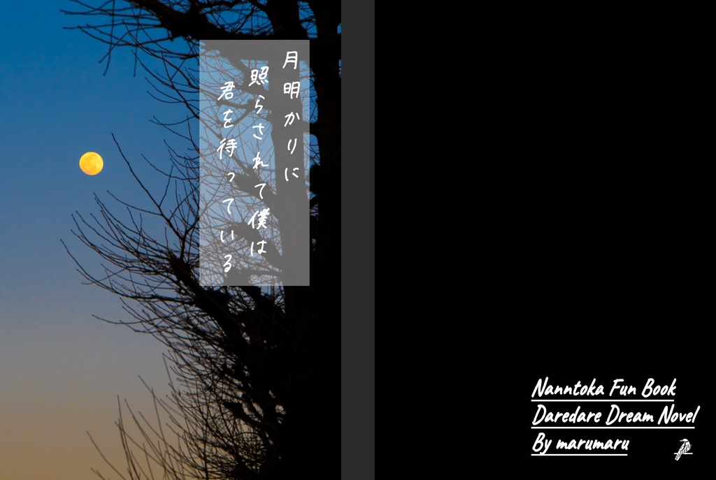 【A5】表紙用素材「月明かり」