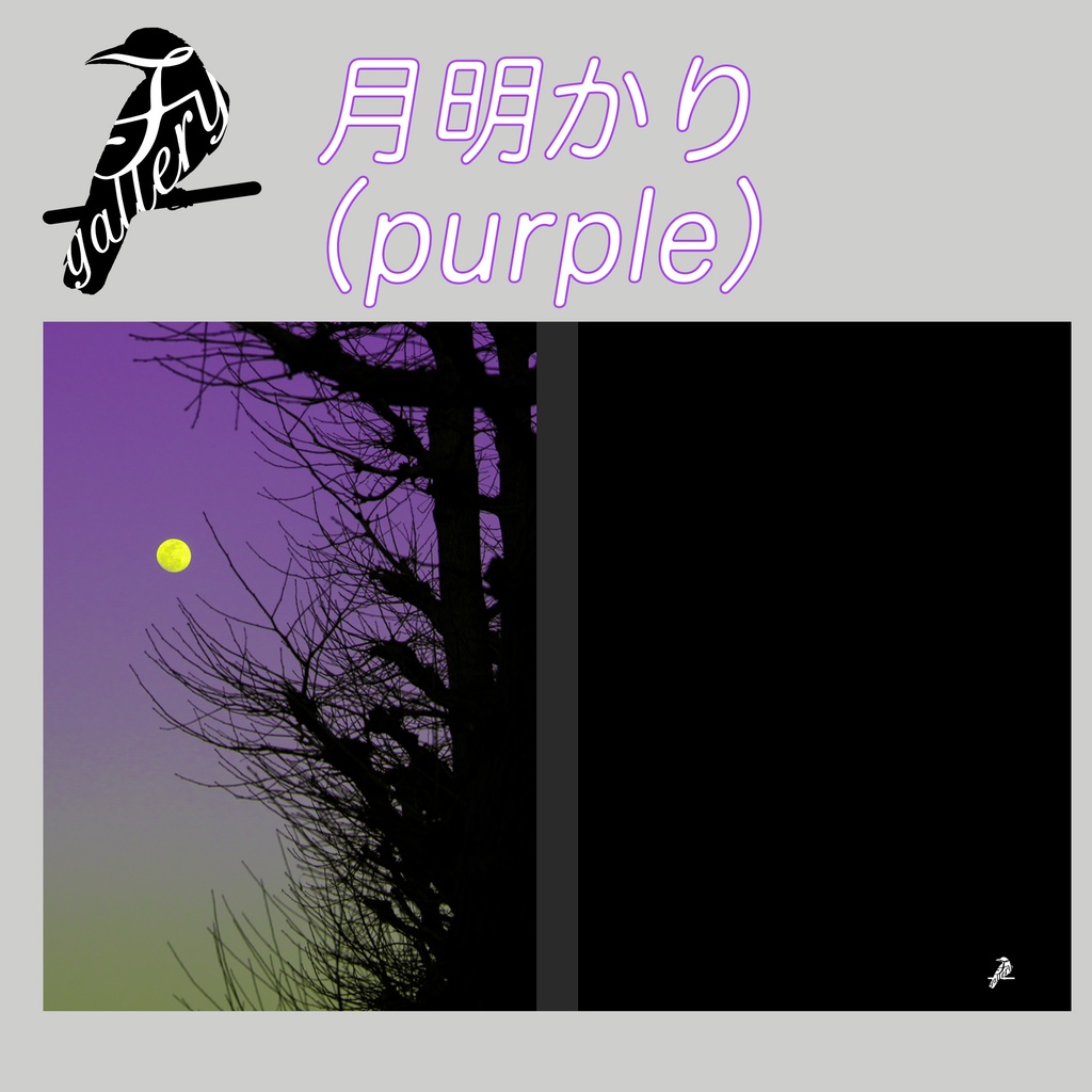 【A5】表紙用素材「月明かり」