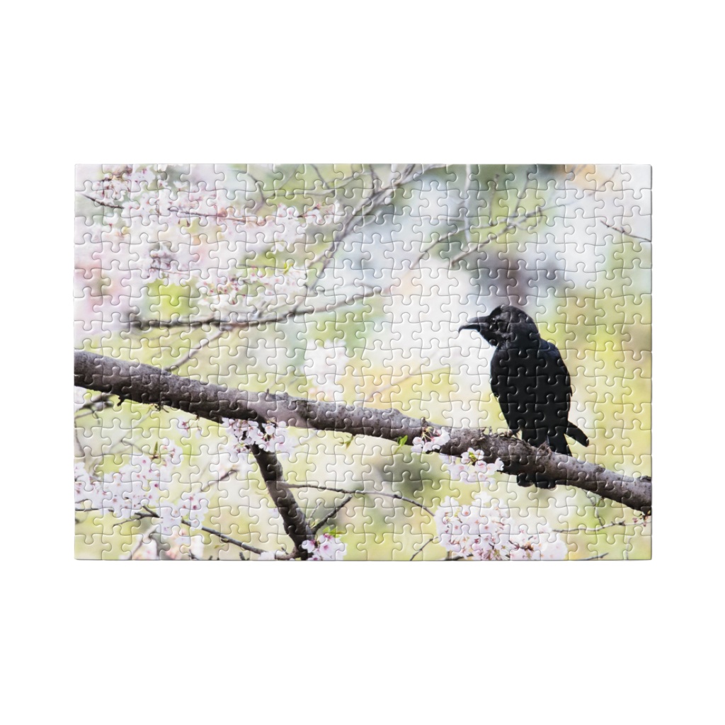 【パズル】花見をするカラス