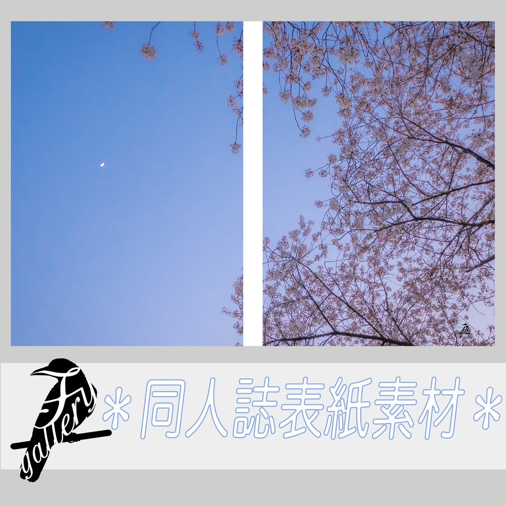 【A5】表紙用素材「見上げる夜桜」