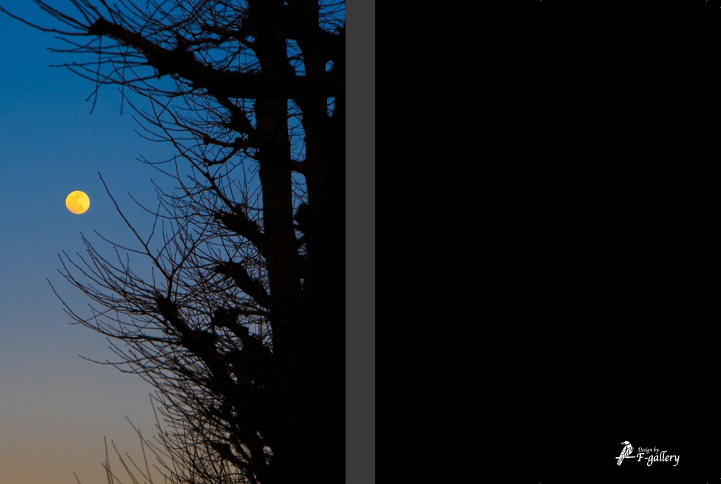 A5/A6同人誌表紙素材 《001》