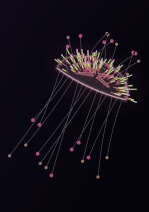 ぷかリウム