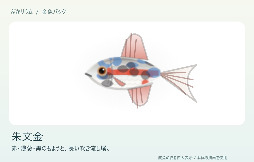 【ぷかリウム DLC】金魚パック