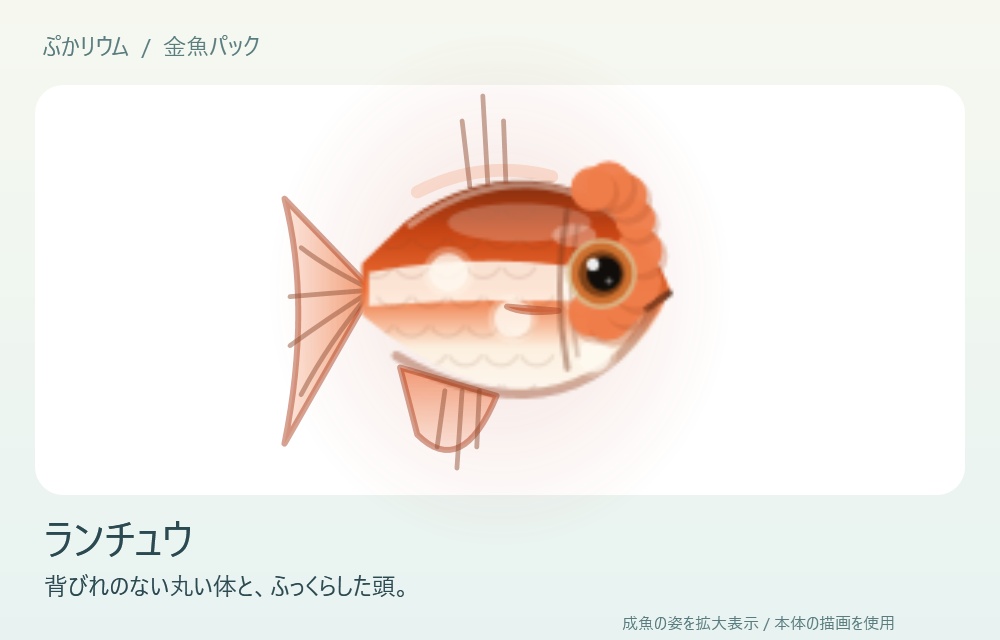 【ぷかリウム DLC】金魚パック