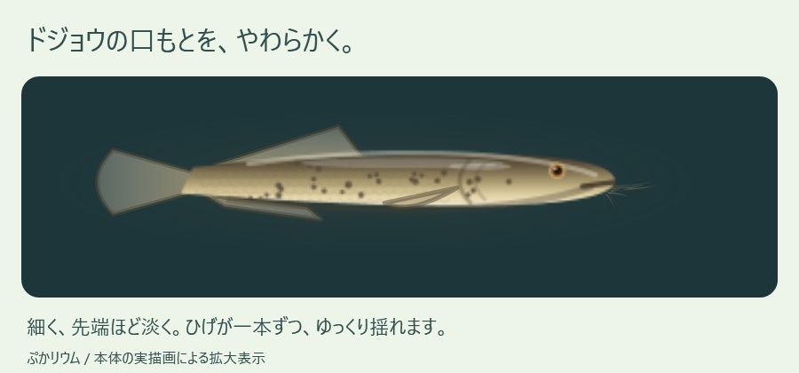 【ぷかリウム DLC】小川の仲間パック