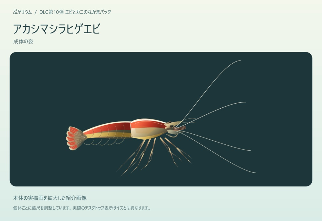 【ぷかリウム DLC】エビとカニのなかまパック
