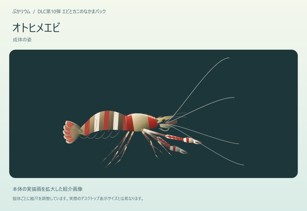 【ぷかリウム DLC】エビとカニのなかまパック