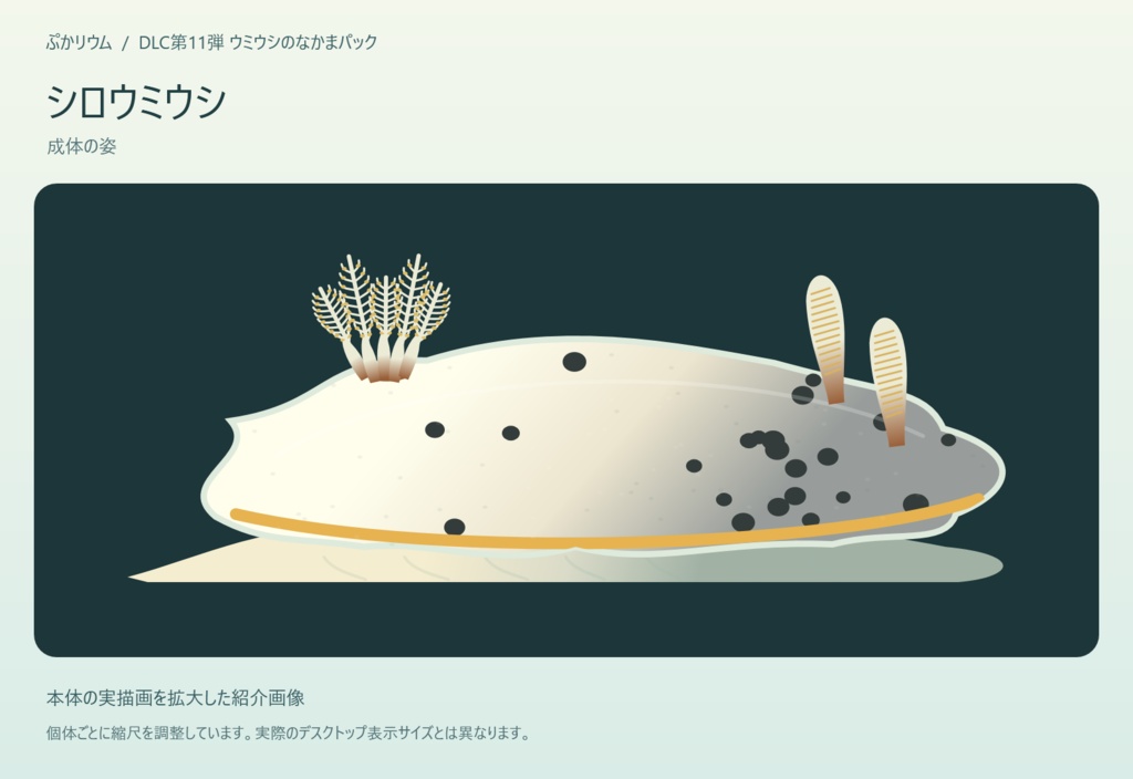 【ぷかリウム DLC】ウミウシのなかまパック