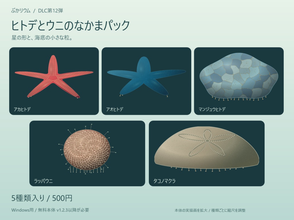 【ぷかリウム DLC】ヒトデとウニのなかまパック