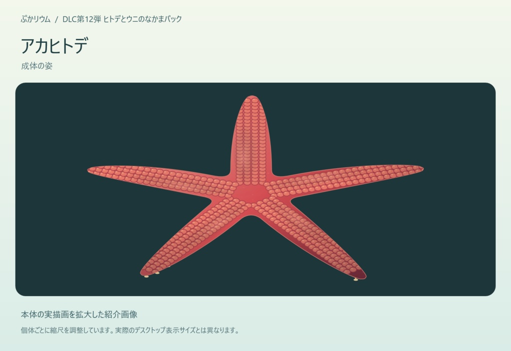 【ぷかリウム DLC】ヒトデとウニのなかまパック