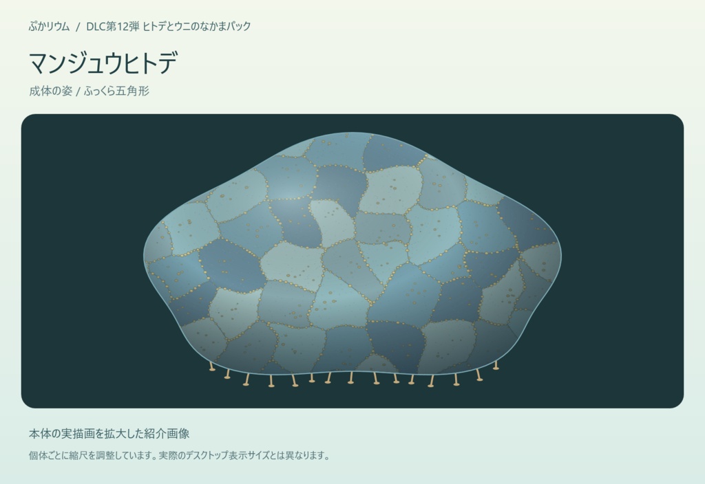 【ぷかリウム DLC】ヒトデとウニのなかまパック
