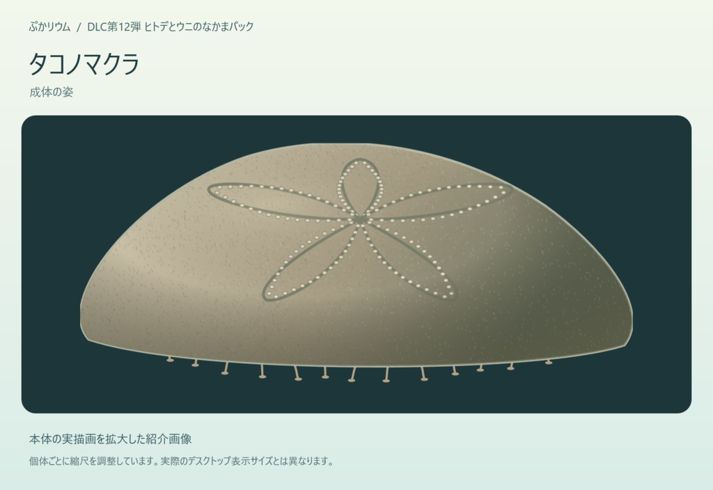 【ぷかリウム DLC】ヒトデとウニのなかまパック