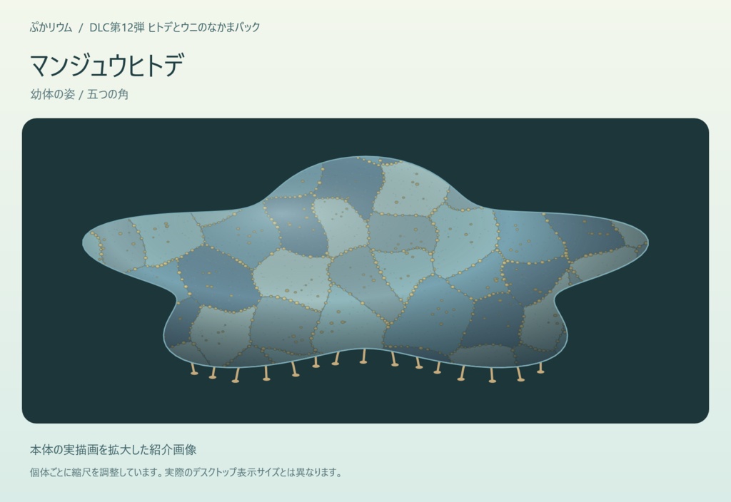 【ぷかリウム DLC】ヒトデとウニのなかまパック
