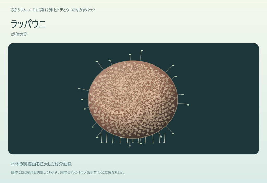 【ぷかリウム DLC】ヒトデとウニのなかまパック