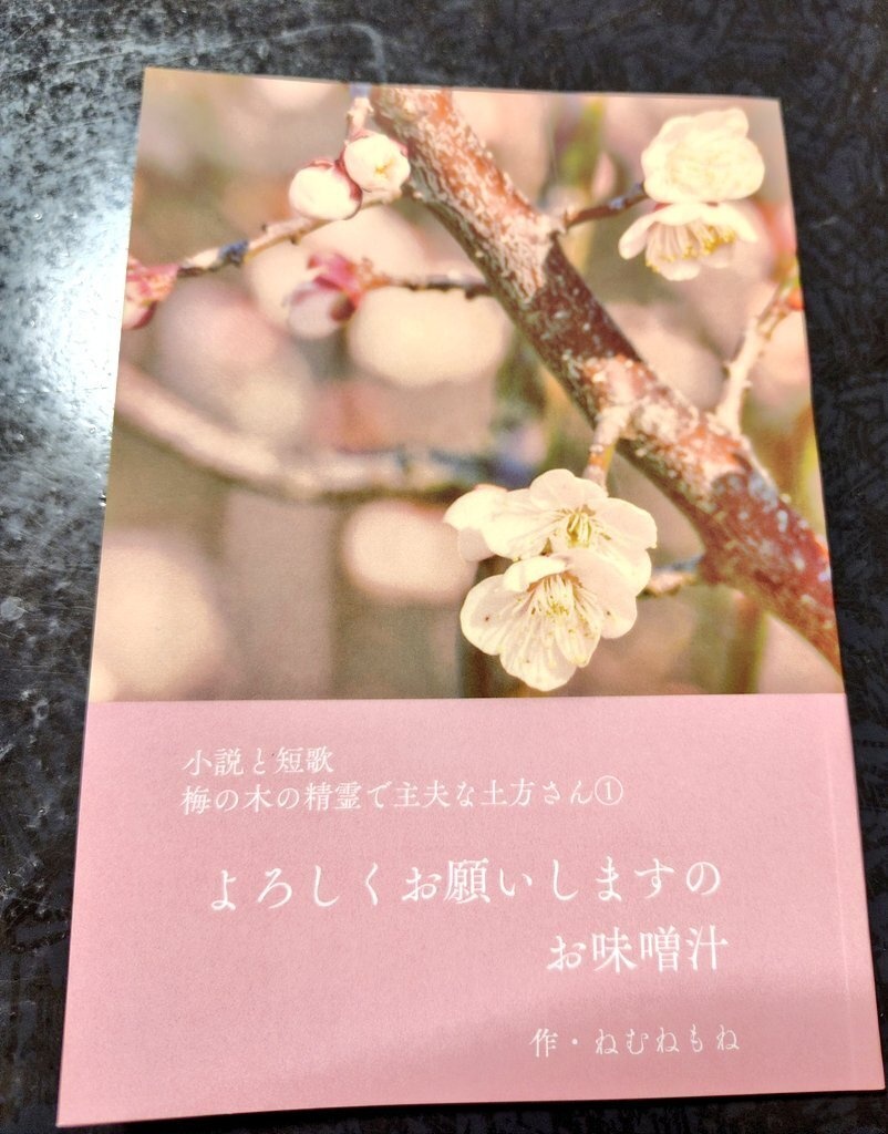 梅の木の精霊で主夫な土方さん① よろしくお願いしますのお味噌汁