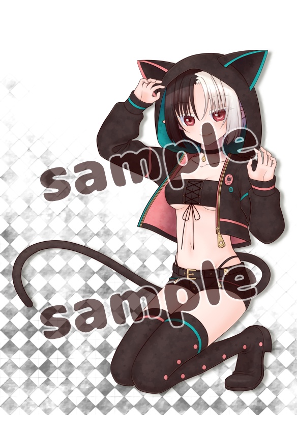 特殊紙ポストカード