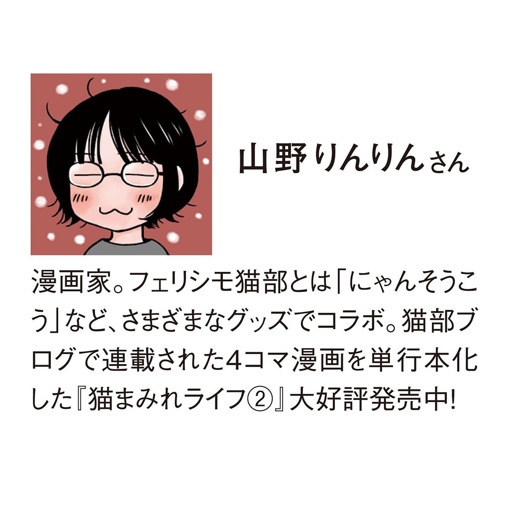 猫傷専用ばんそうこう「にゃんそうこう」