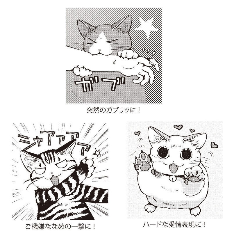 猫傷専用ばんそうこう「にゃんそうこう」