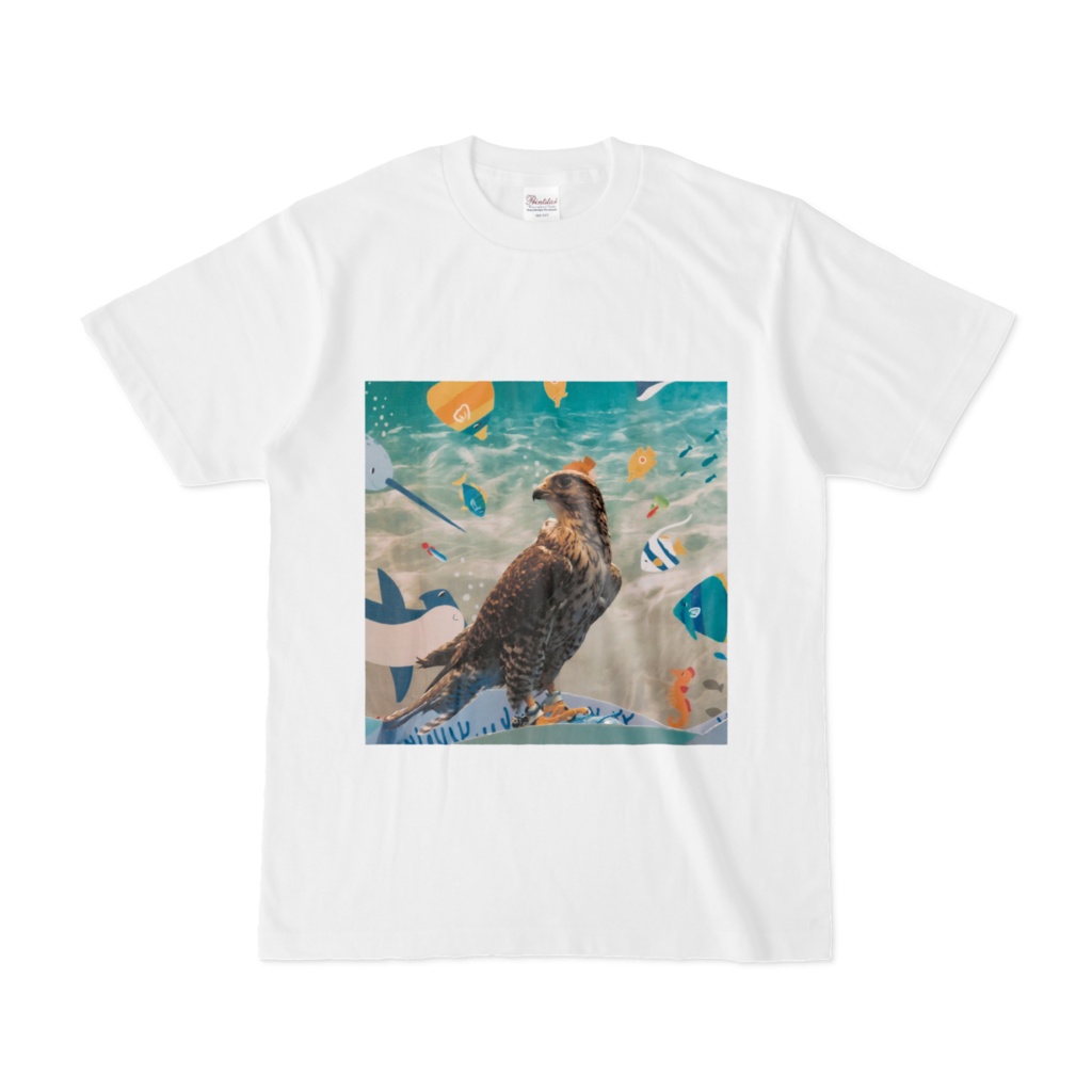海のハヤブサTシャツ02