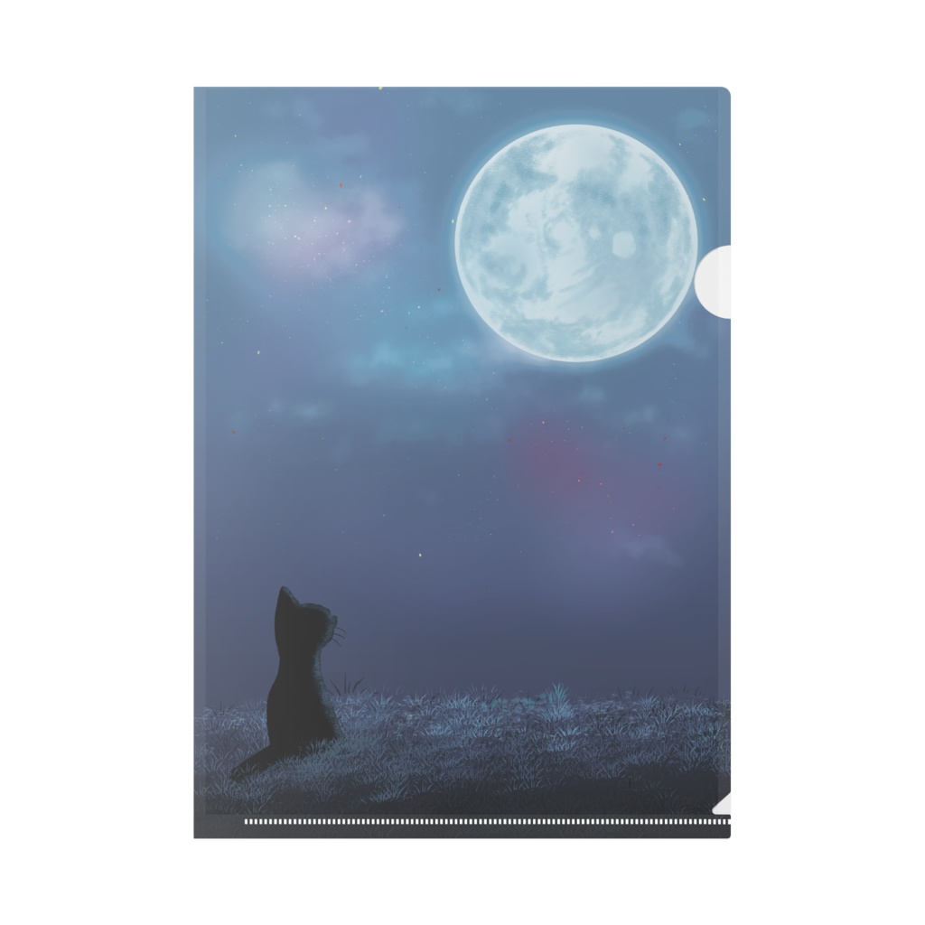 猫と月