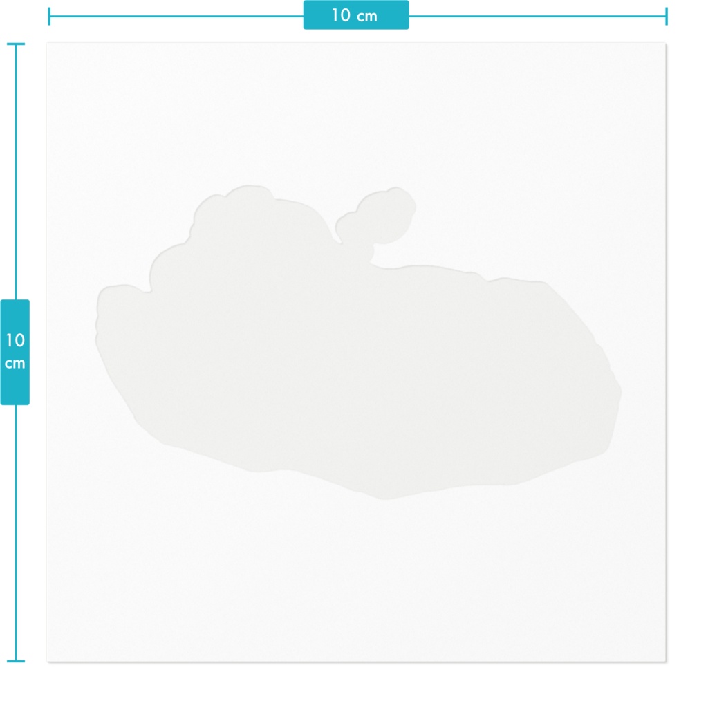 よっぱらいのカキサンショウウオのステッカー