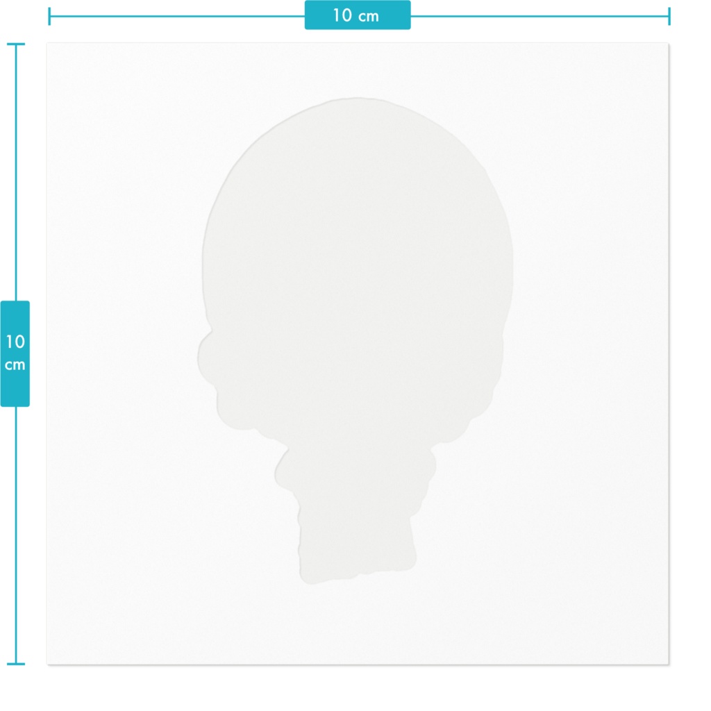 シャム猫お嬢様