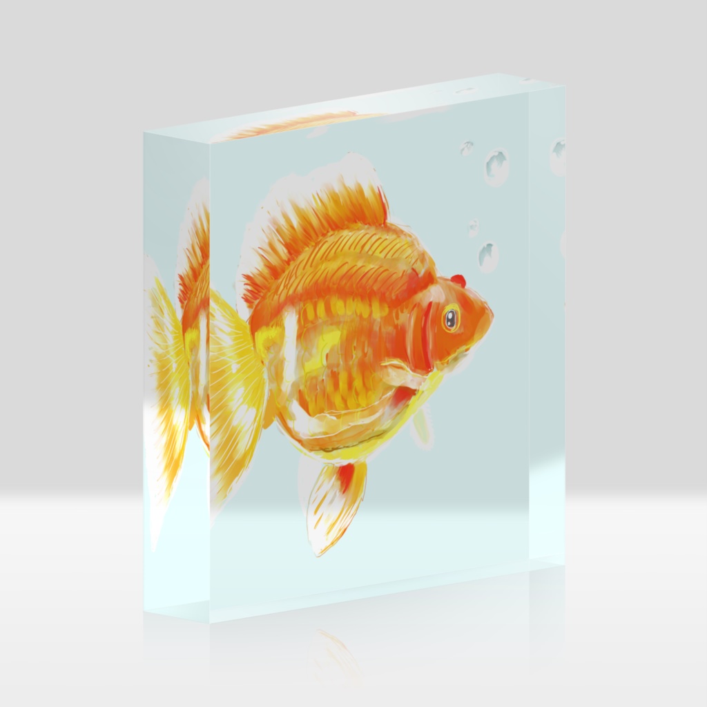 アクリルブロック金魚イラスト