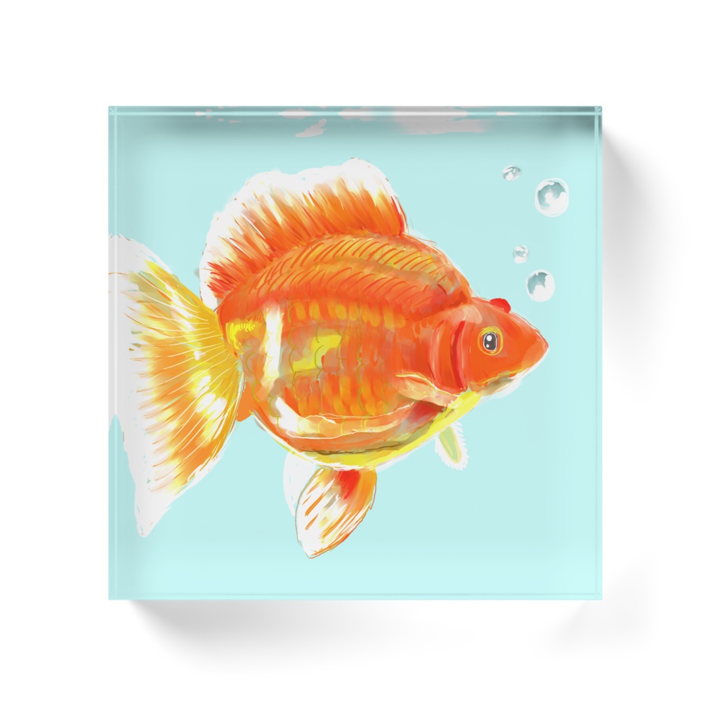 アクリルブロック金魚イラスト