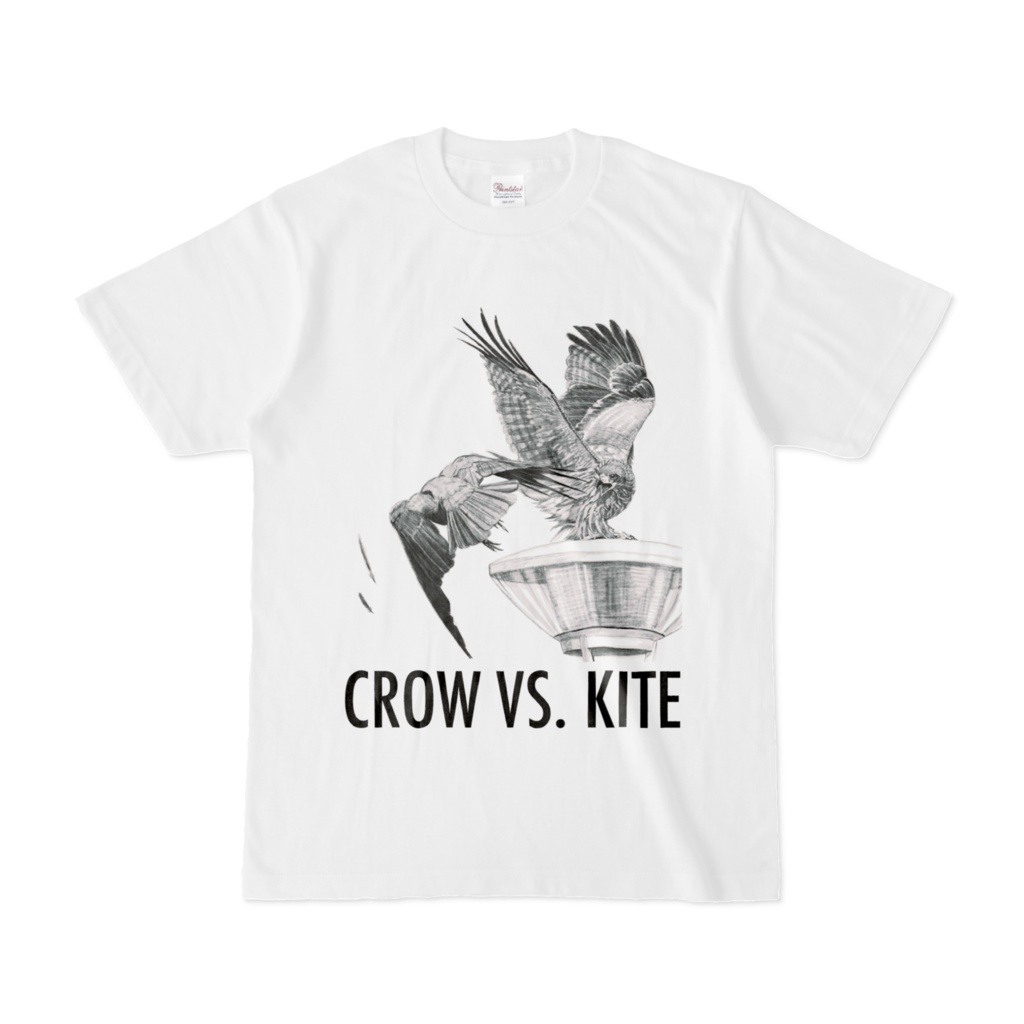 CROW VS. KITE