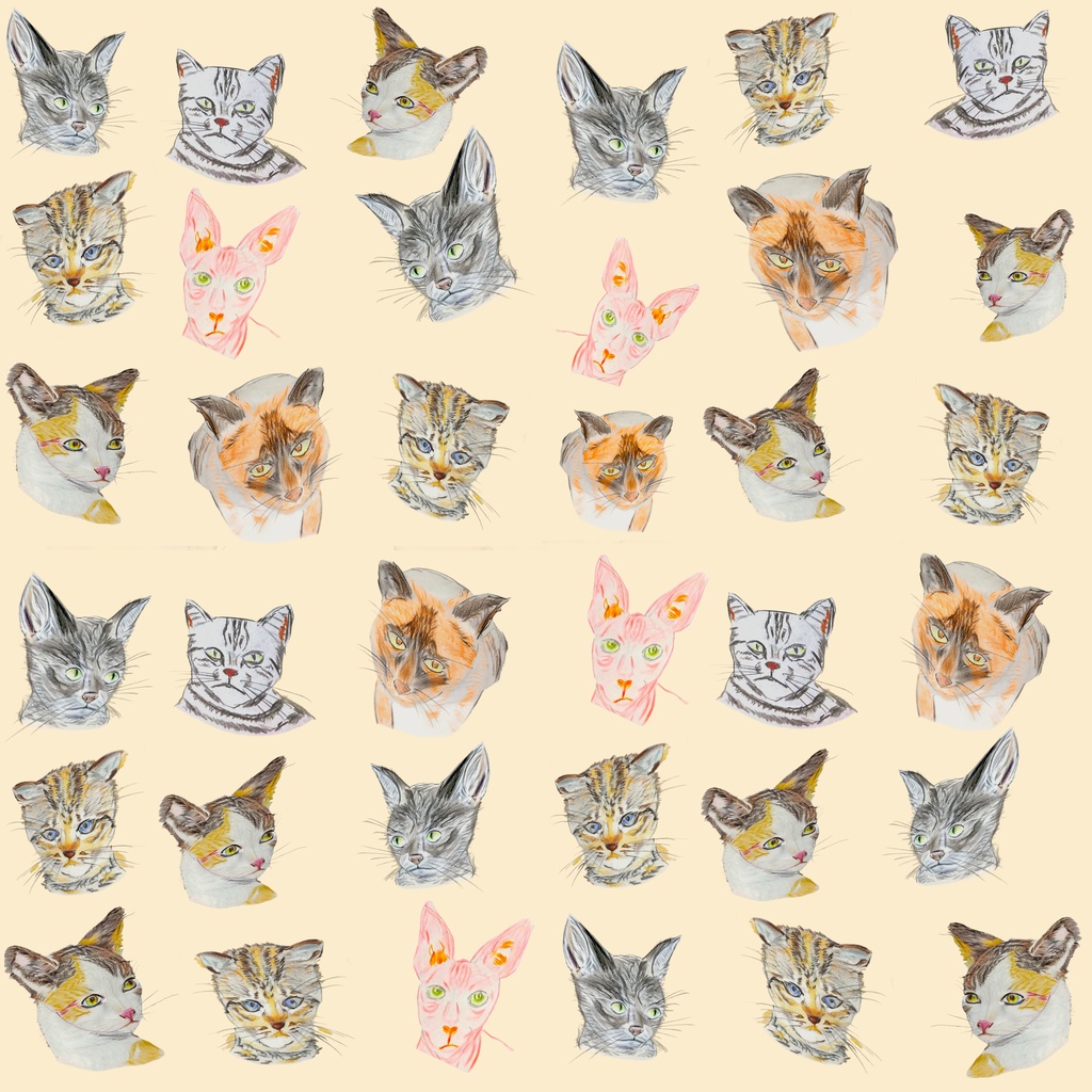 色鉛筆で描いた❣ リアルにゃんこポーチ😸