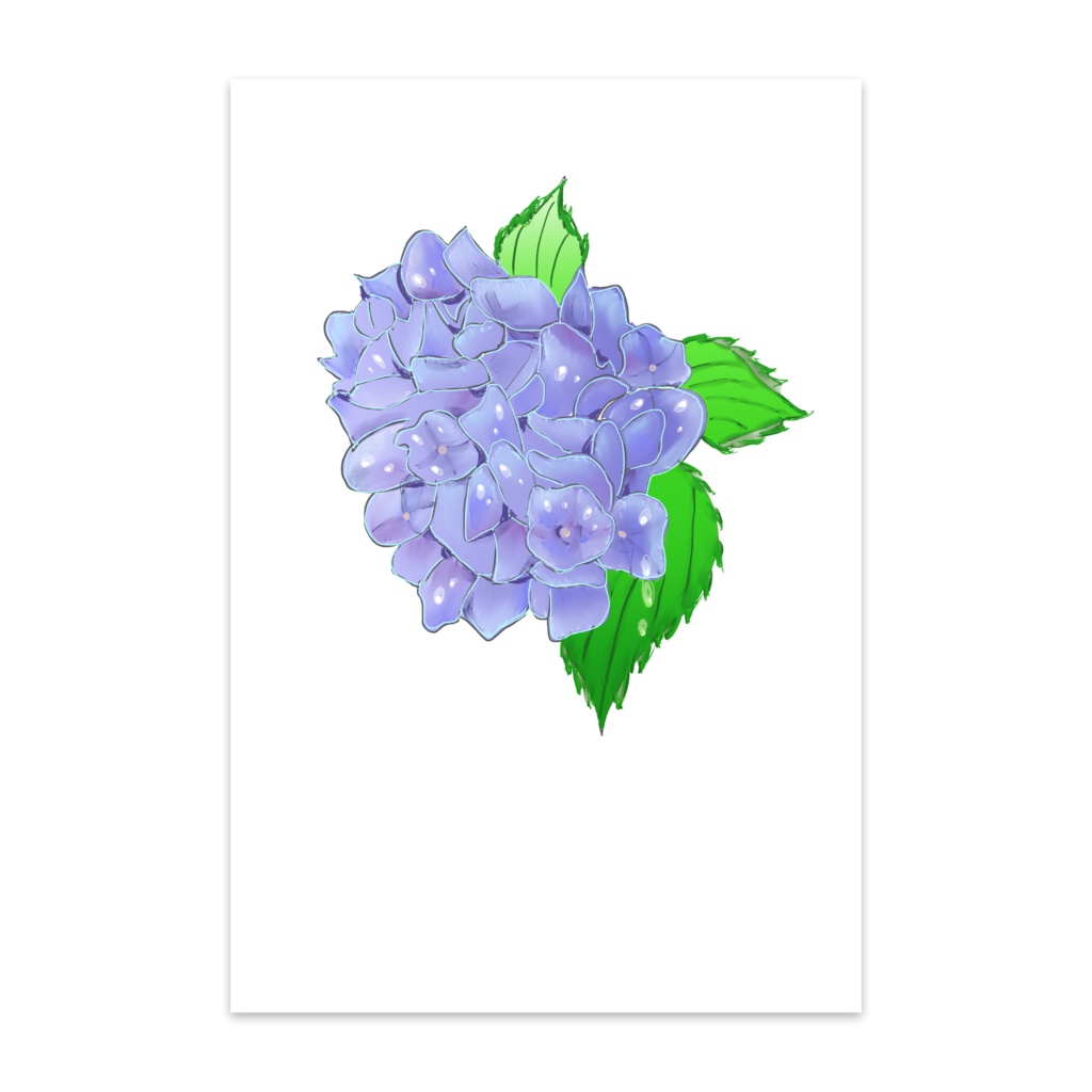 アジサイイラストポストカード