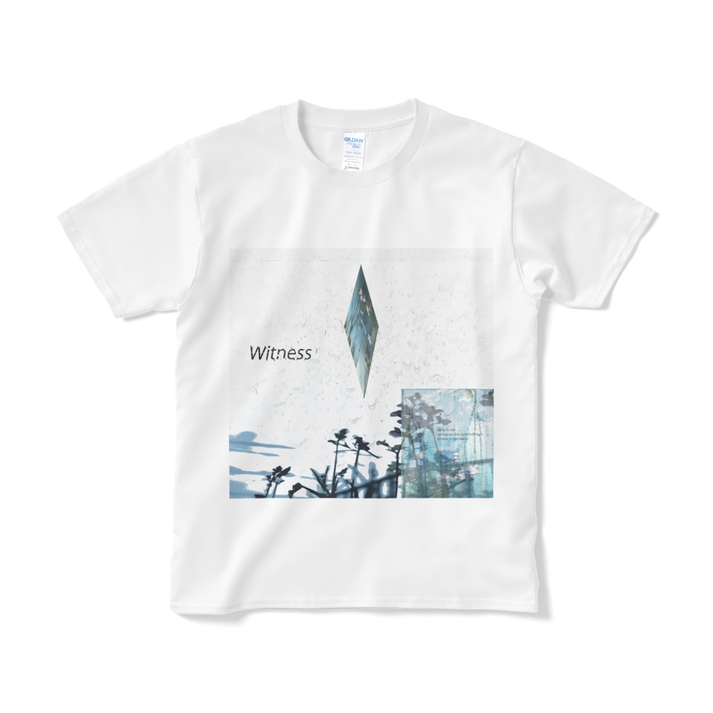 Witness