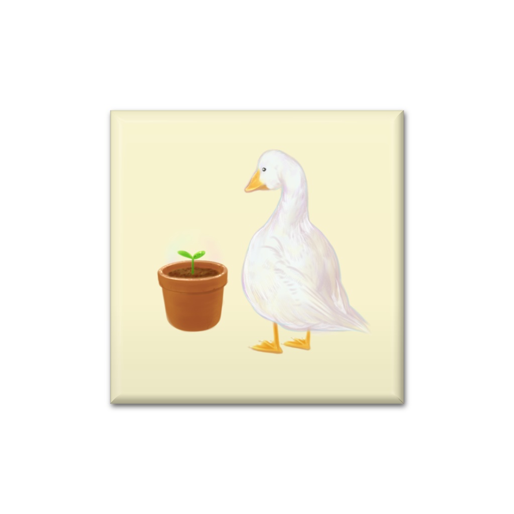 成長を見守るアヒル