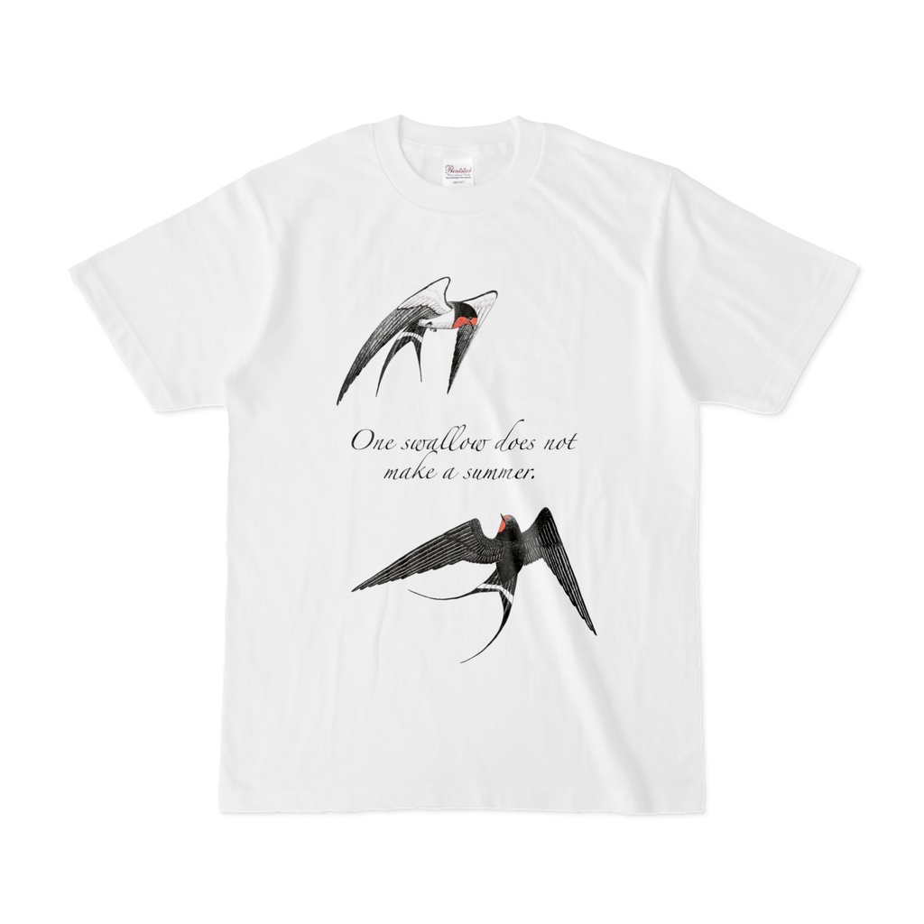 One swallow does not make a summer.