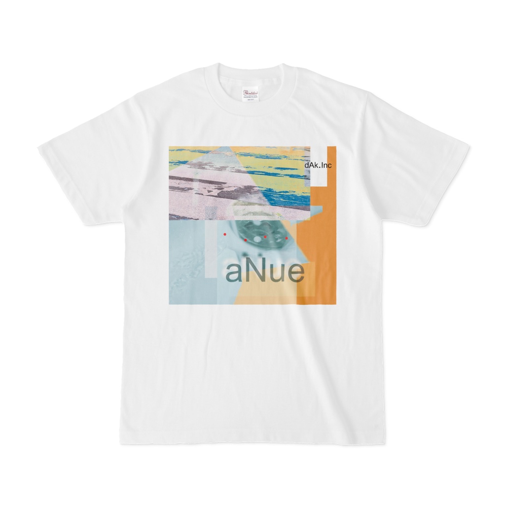 aNue Tシャツ