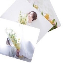 オフショットBROMIDE