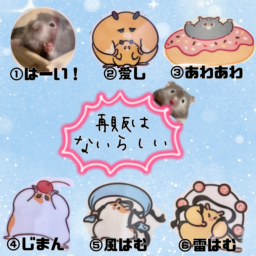 【SALE】キラメキステッカー(全6種)