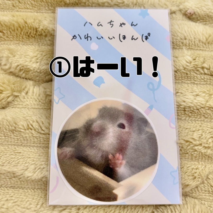 【SALE】キラメキステッカー(全6種)