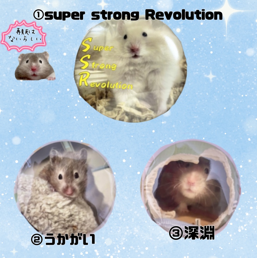 【SALE】ちょっとでっかい!缶バッジ(旧作3種)