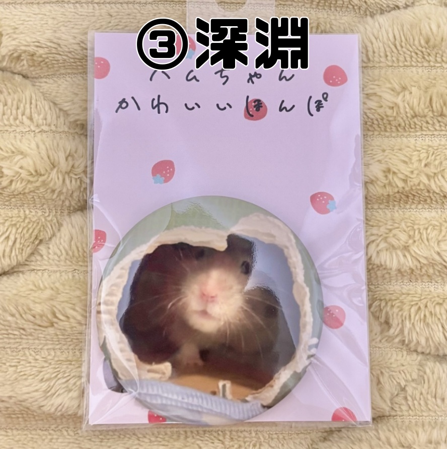 【SALE】ちょっとでっかい!缶バッジ(旧作3種)