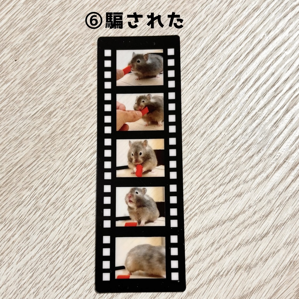 フィルム風しおり(全8種)